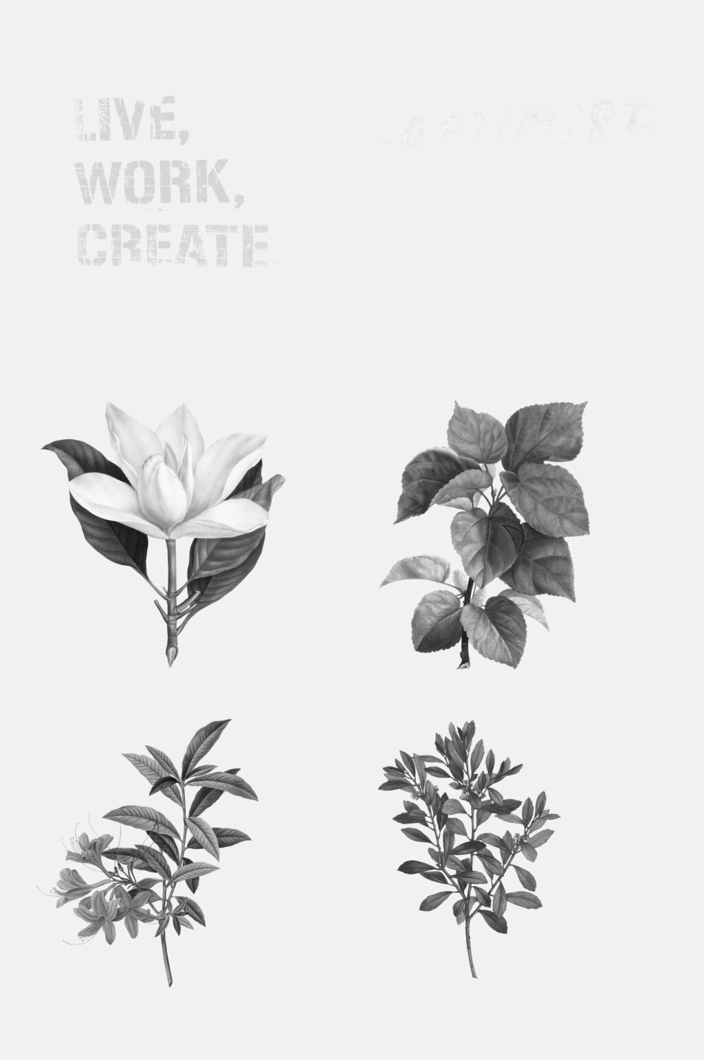 植物酸性复古剪贴图免抠素材素材