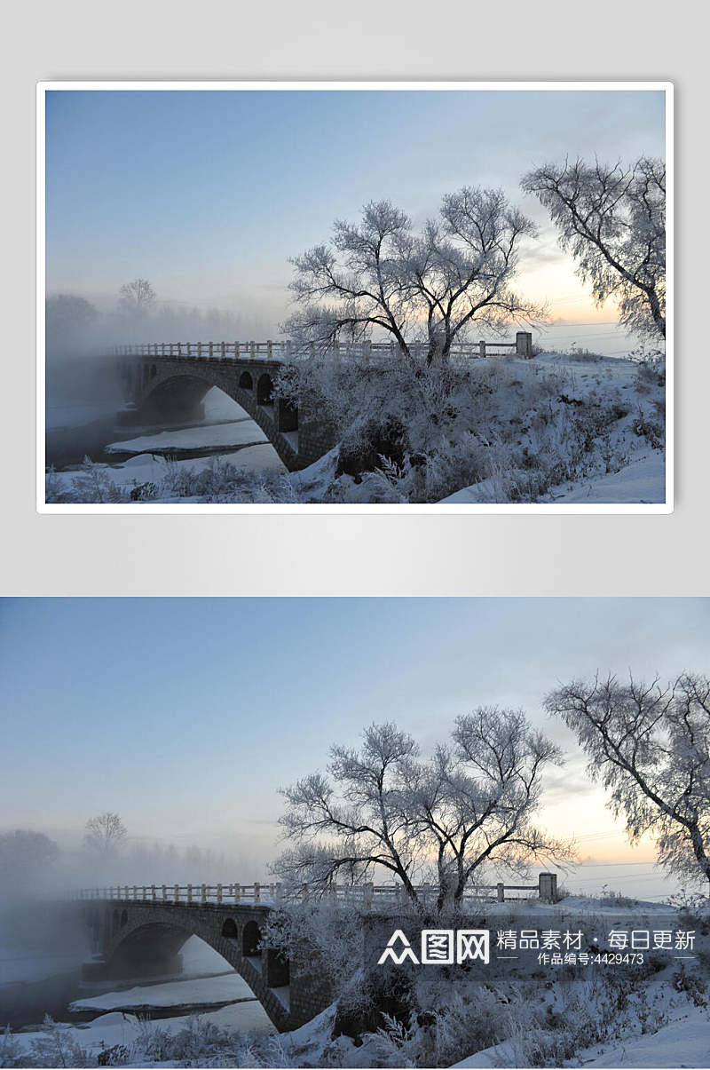桥雪松新华桥雾凇图片素材