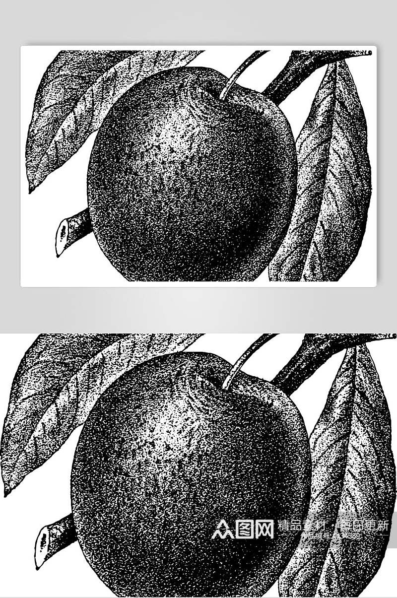 苹果水果素描手绘矢量素材素材