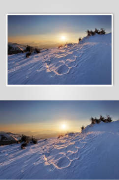 蓝天白云阳光树木雪山雪景图片