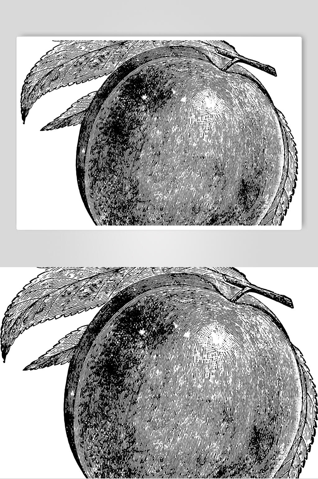 植物黑色简约水果素描手绘矢量素材素材