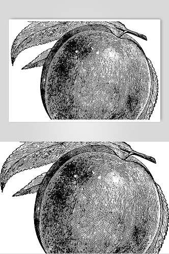 植物黑色简约水果素描手绘矢量素材