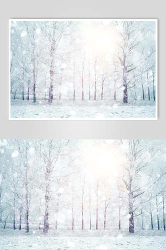 白雪自然雪景图片