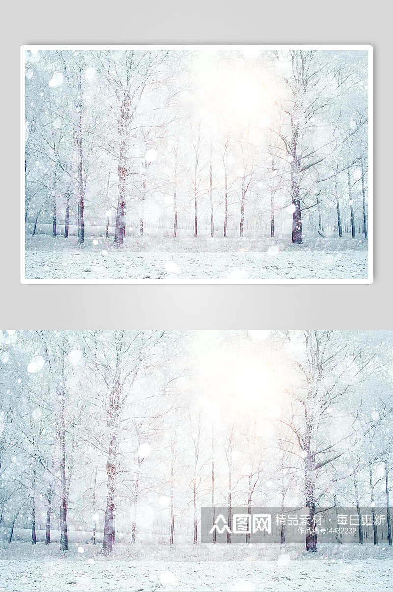 白雪自然雪景图片素材