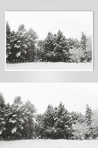 灰白中国风自然雪景图片