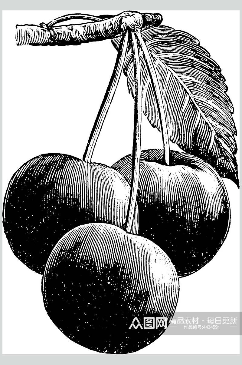 青苹果水果素描手绘矢量素材素材