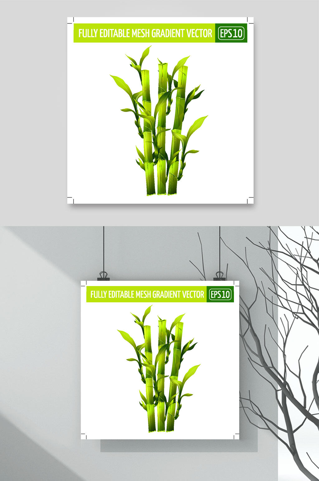 竹子绿色英文简约矢量水果插画素材素材