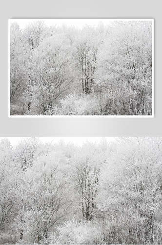 风景冬季雪景摄影图