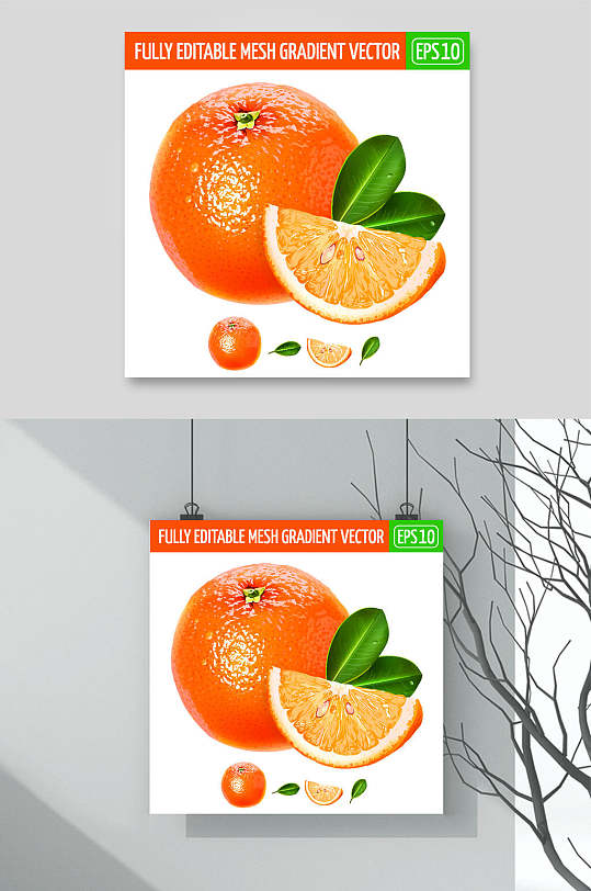 橘子叶子黄色清新矢量水果插画素材