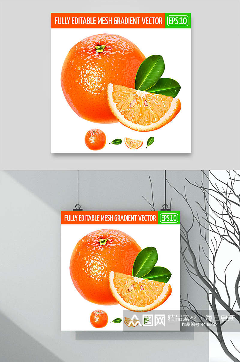 橘子叶子黄色清新矢量水果插画素材素材