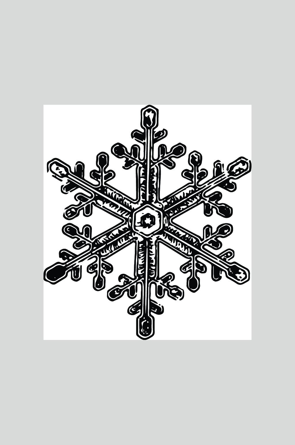 黑白六边雪花矢量素材素材
