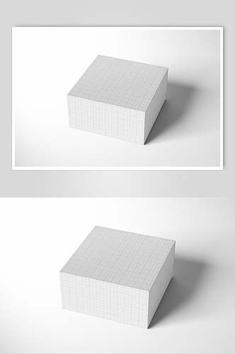 长方形立体灰创意品牌纸盒样机