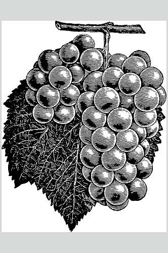 葡萄叶子黑色水果素描手绘矢量素材