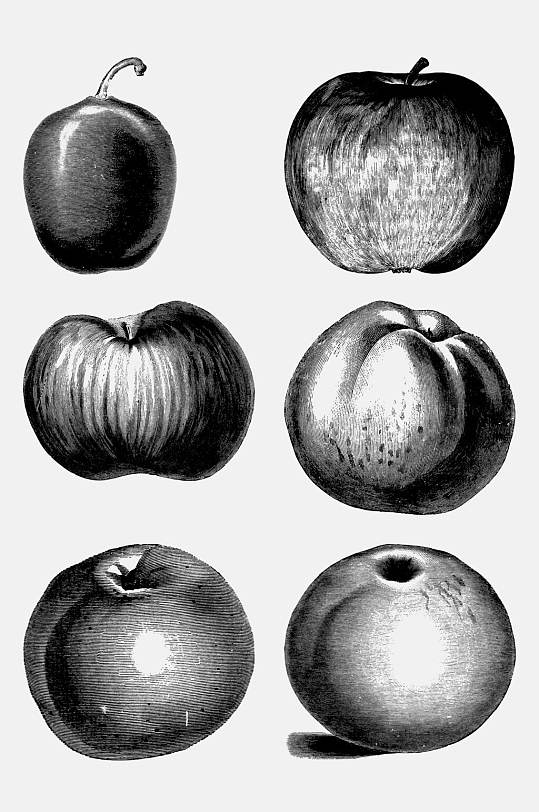 苹果水果素描绘画免抠素材