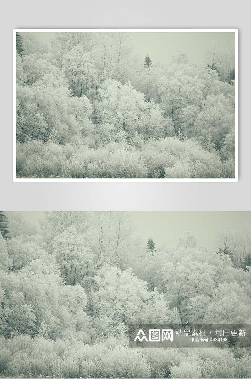 白色自然清新雪景图片素材