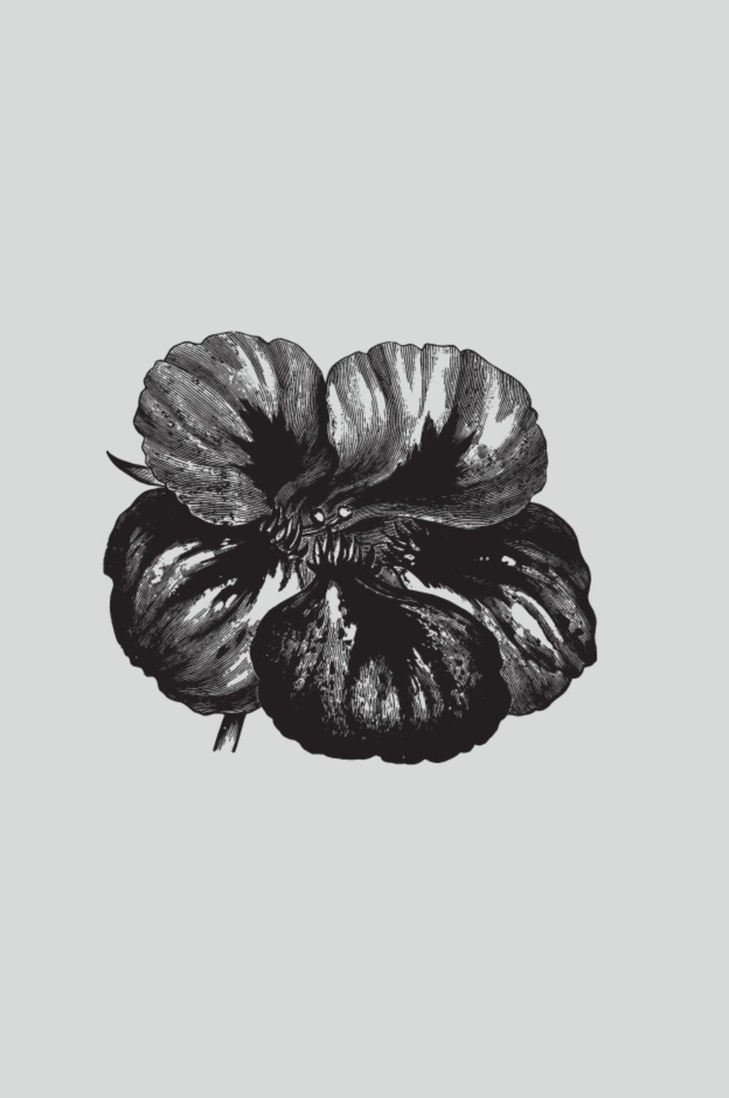 时尚黑色手绘植物蔬菜素描矢量素材素材