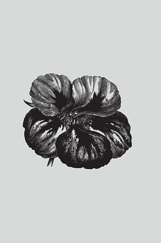 时尚黑色手绘植物蔬菜素描矢量素材