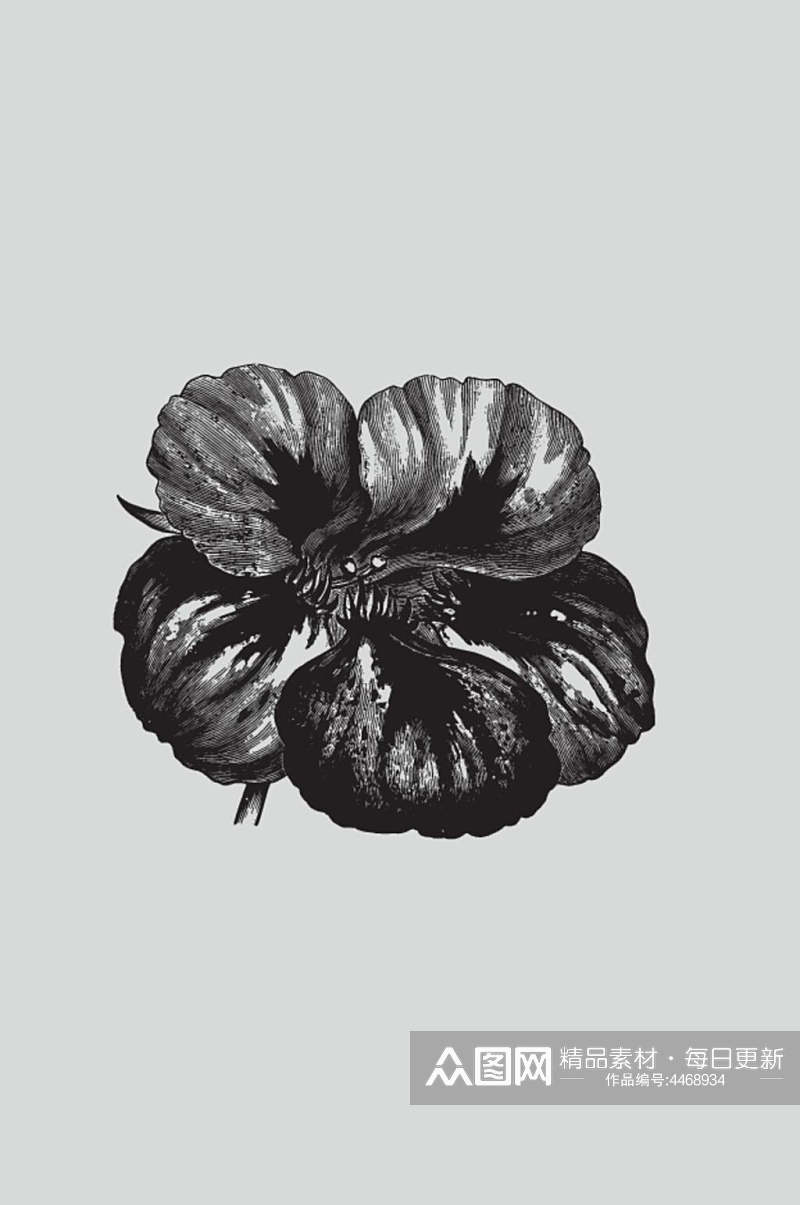 时尚黑色手绘植物蔬菜素描矢量素材素材
