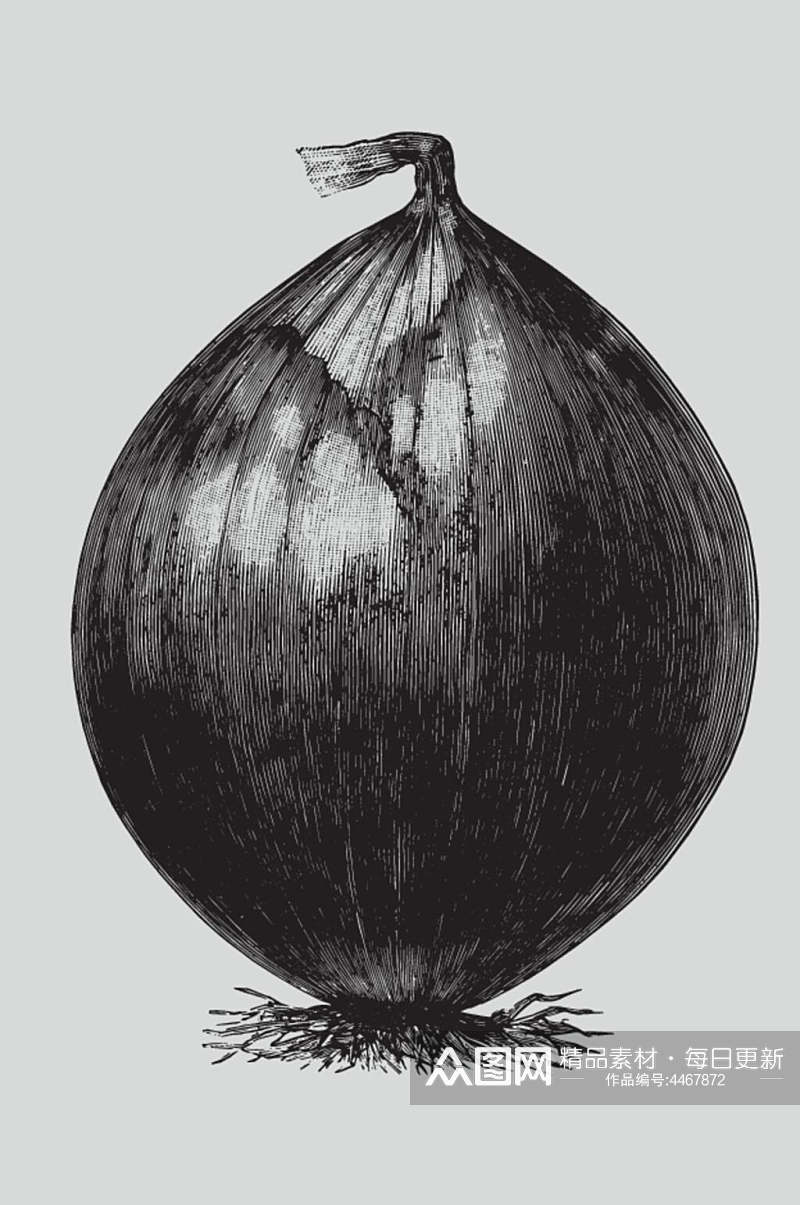 手绘反光黑色植物蔬菜素描矢量素材素材