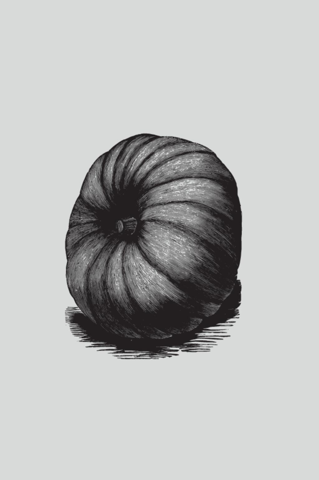 南瓜黑色手绘植物蔬菜素描矢量素材素材