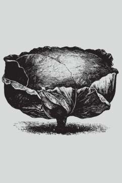 简约黑色手绘植物蔬菜素描矢量素材
