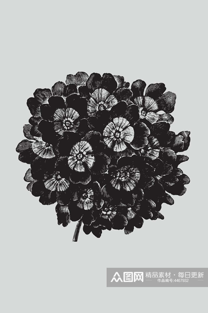 花朵黑色手绘植物蔬菜素描矢量素材素材
