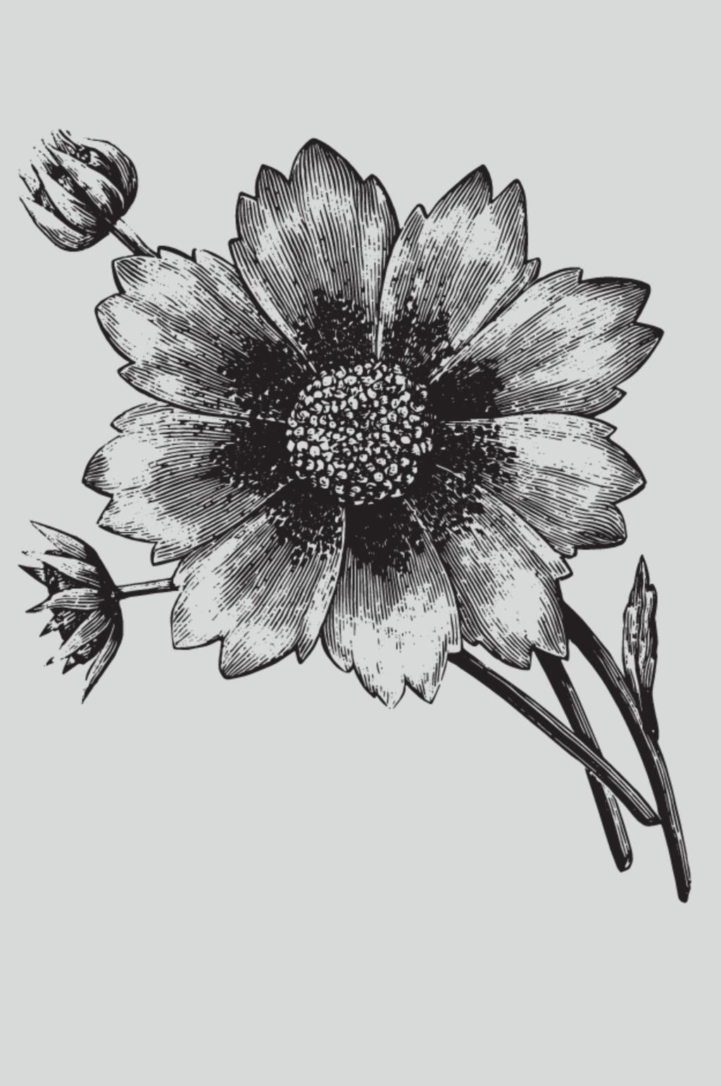 花朵黑色简约植物蔬菜素描矢量素材素材
