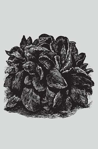 时尚线条黑色植物蔬菜素描矢量素材