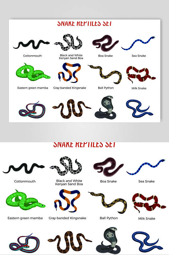 动手彩色英文卡通手绘蛇矢量素材