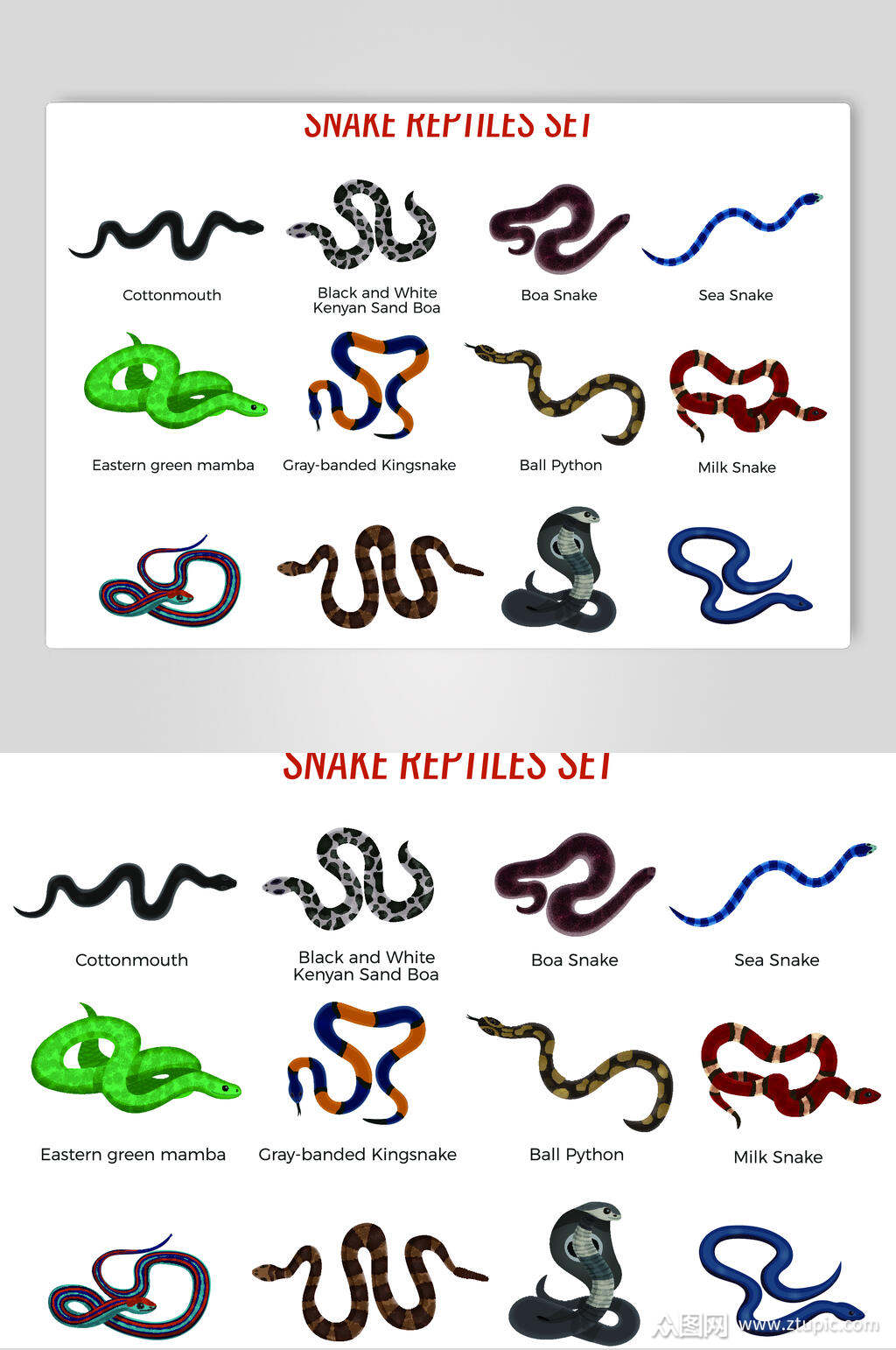 动手彩色英文卡通手绘蛇矢量素材素材