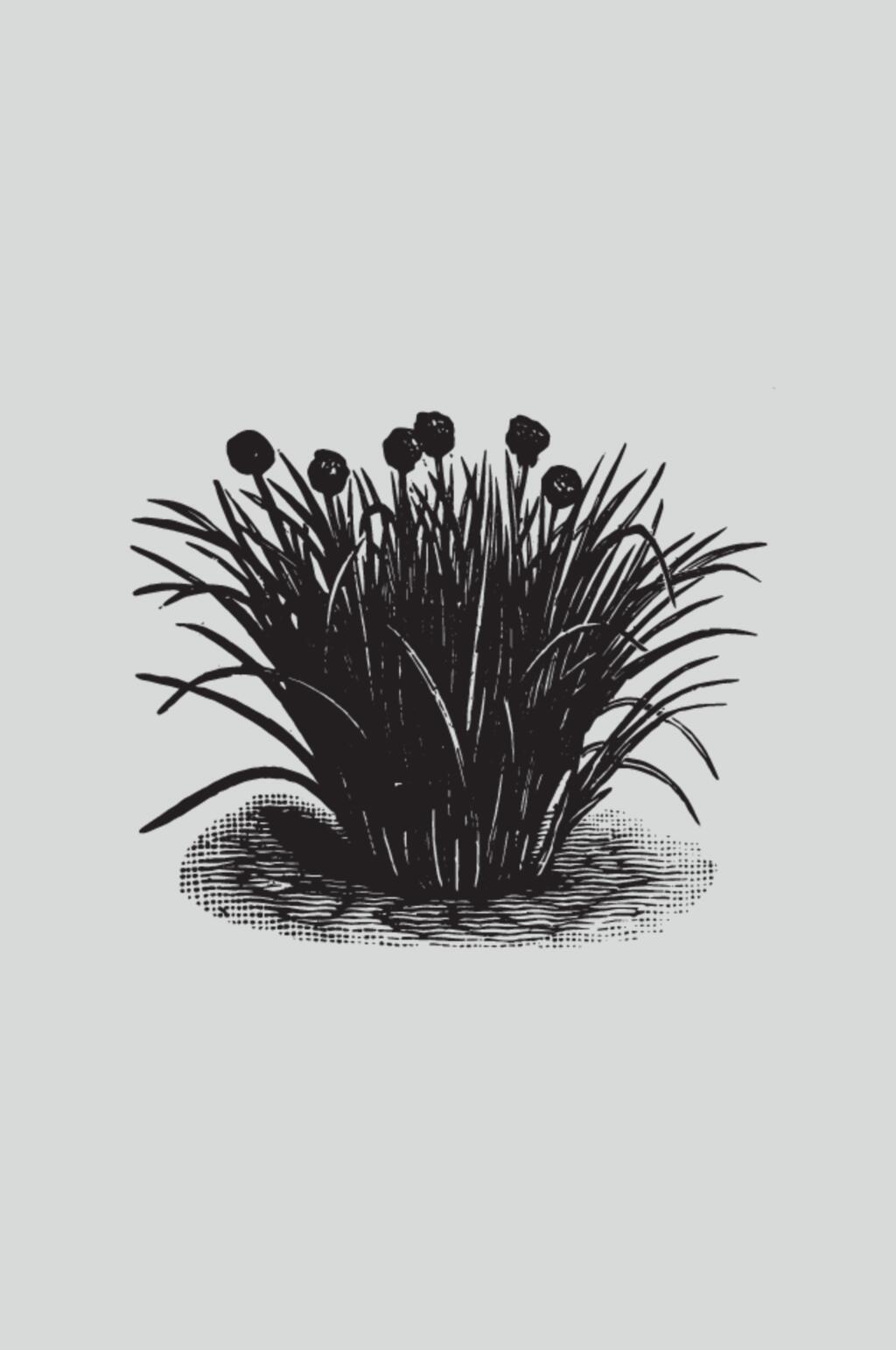 花朵叶子黑色植物蔬菜素描矢量素材素材