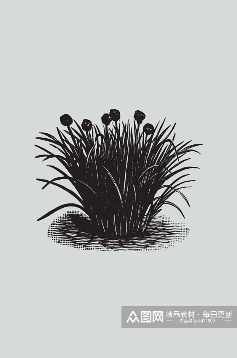 花朵叶子黑色植物蔬菜素描矢量素材素材
