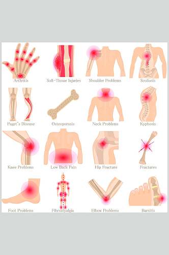 关节人体骨骼医学挂图矢量素材