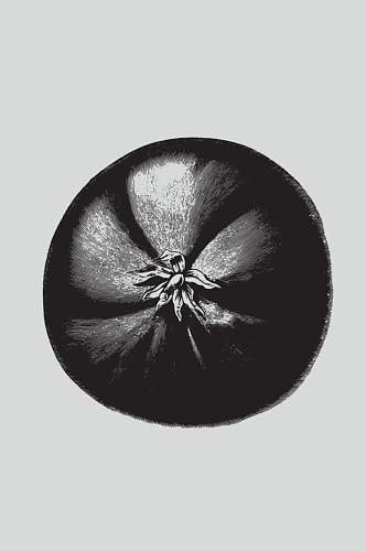 叶子黑色手绘植物蔬菜素描矢量素材