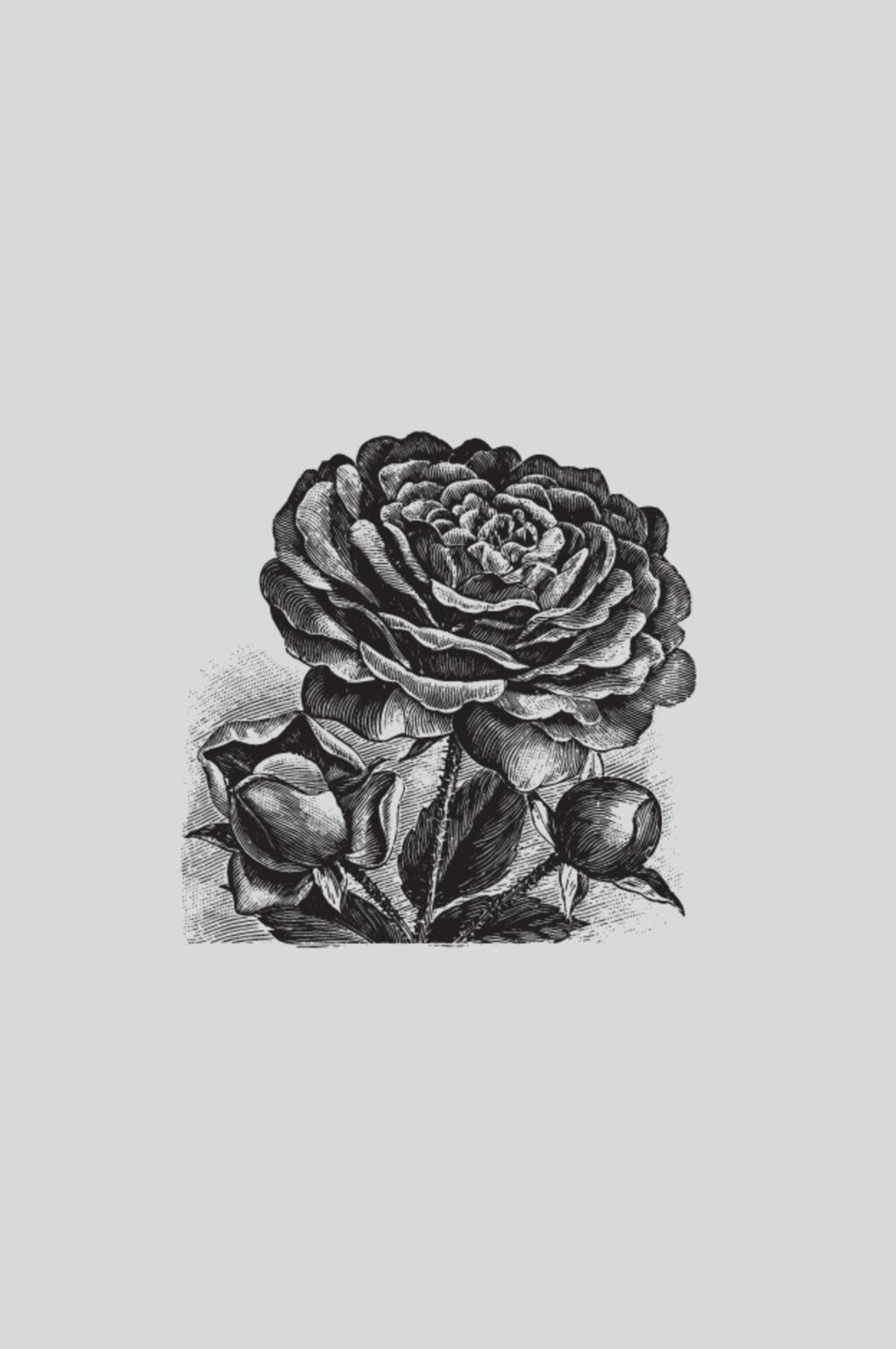 花朵黑色简约植物蔬菜素描矢量素材素材