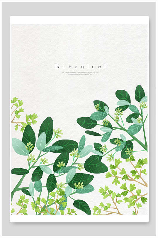 笔记本画册封面清新绿植背景