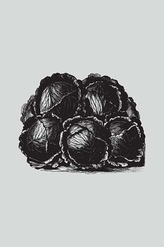 线条黑色手绘植物蔬菜素描矢量素材