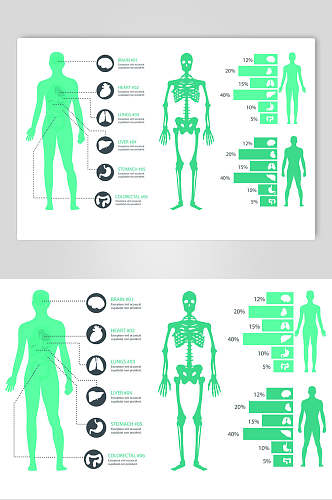 绿色手绘简约人体构造图矢量素材