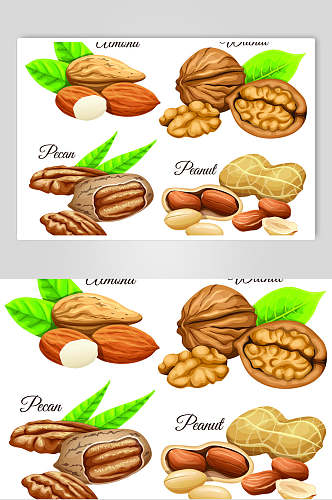 叶子褐色打开核桃花生坚果矢量素材