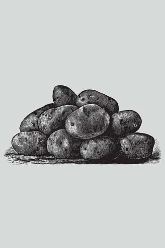 土豆黑色手绘植物蔬菜素描矢量素材