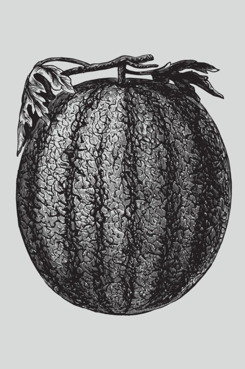 水果黑色叶子植物蔬菜素描矢量素材素材