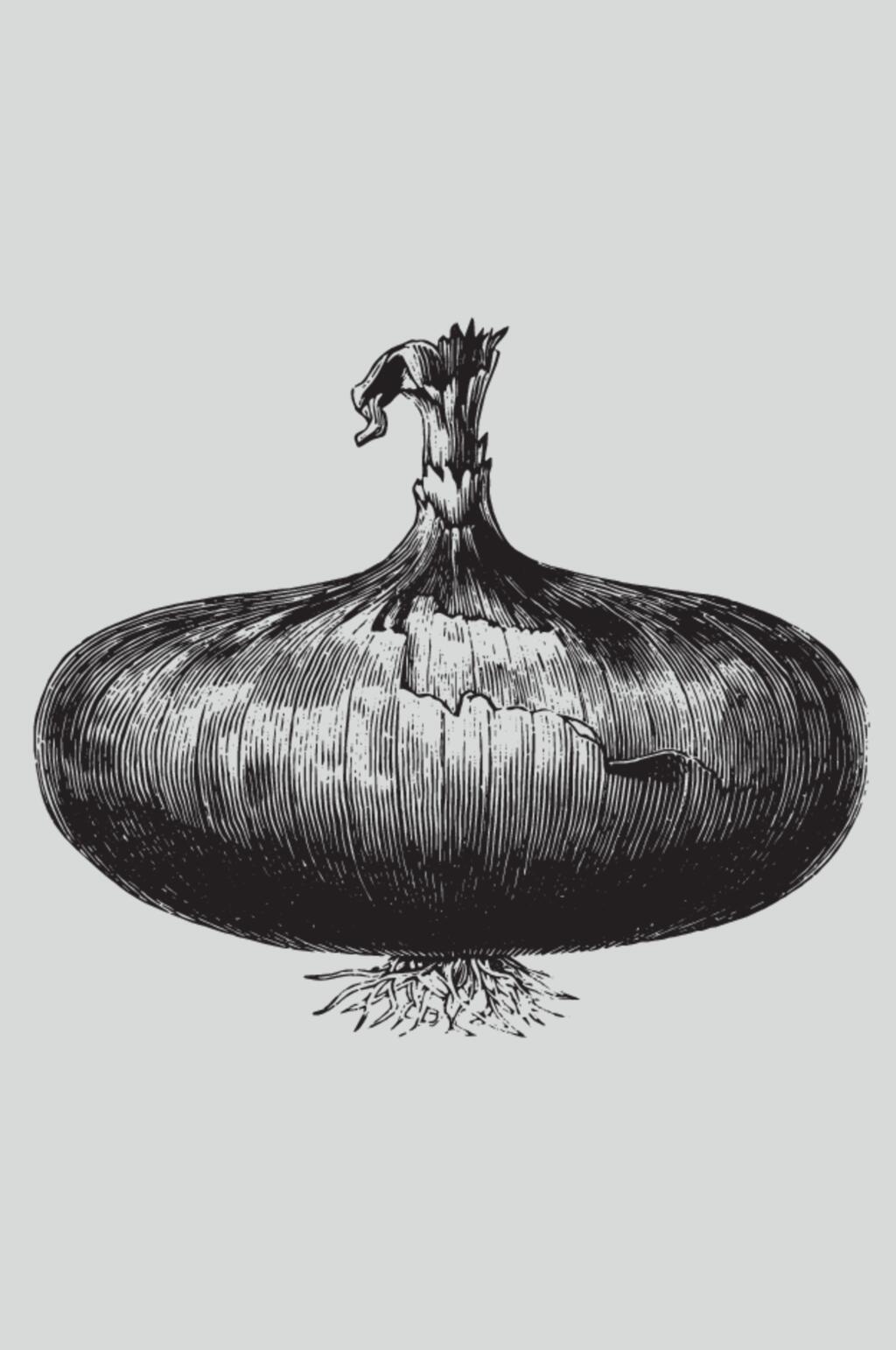 线条简约黑色植物蔬菜素描矢量素材素材