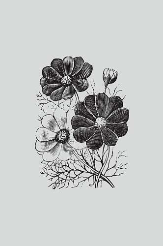 花朵黑色手绘植物蔬菜素描矢量素材