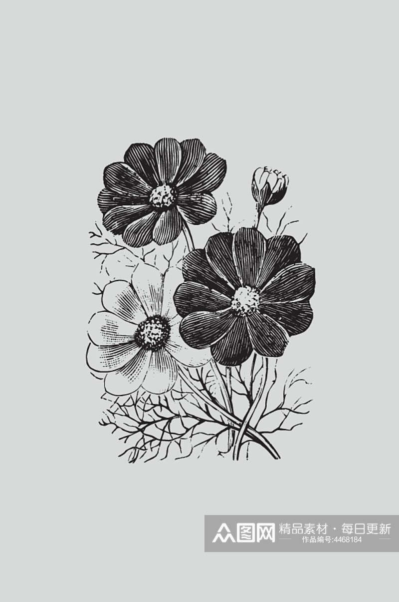 花朵黑色手绘植物蔬菜素描矢量素材素材