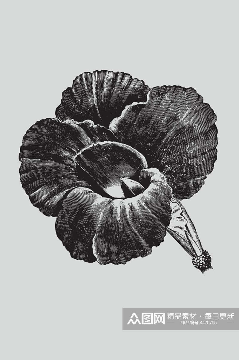 线条黑色手绘植物蔬菜素描矢量素材素材