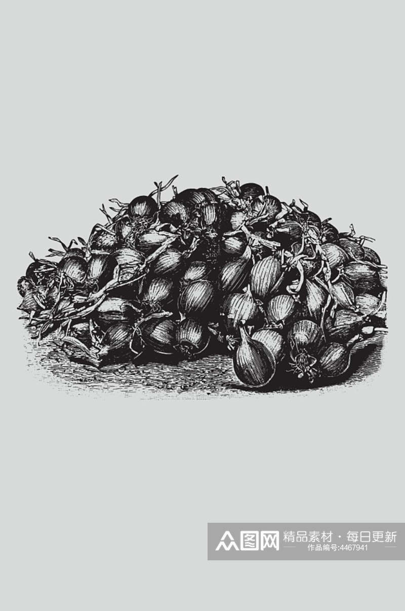 黑色时尚手绘植物蔬菜素描矢量素材素材