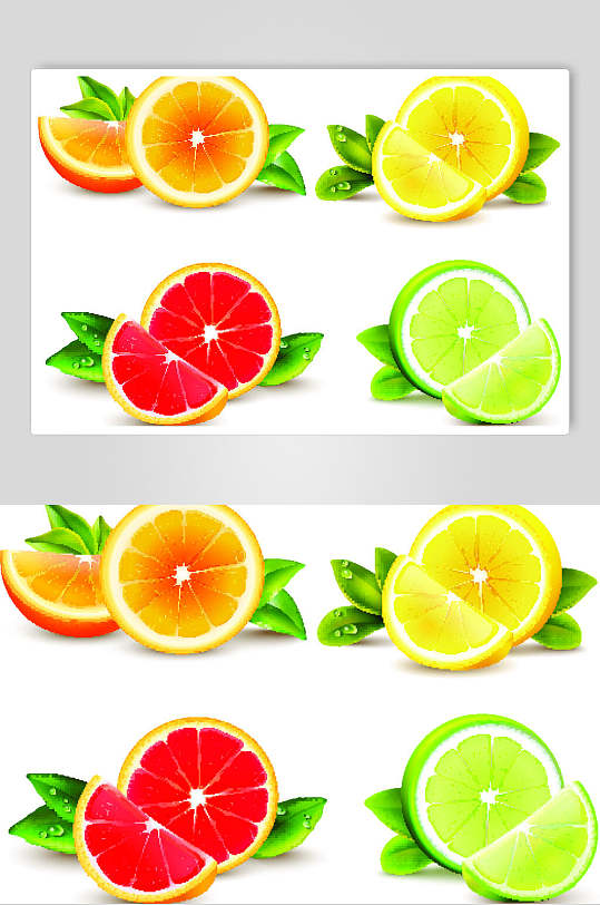 创意橙子柠檬矢量素材