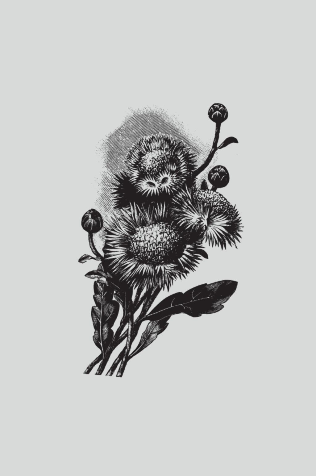 简约黑色线条植物蔬菜素描矢量素材素材