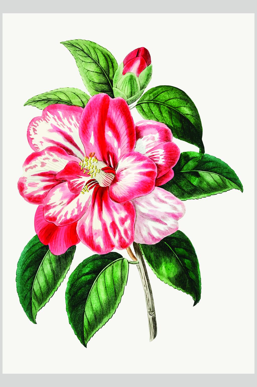 叶子绿粉简约清新山花茶矢量素材素材