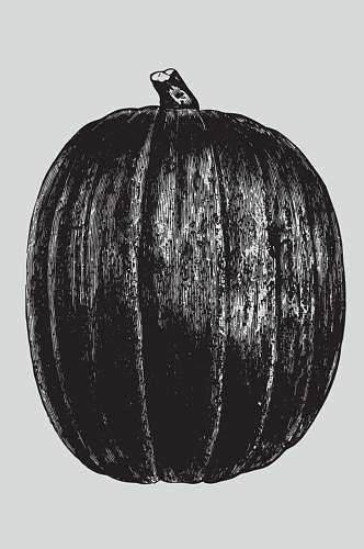 椭圆黑色手绘植物蔬菜素描矢量素材